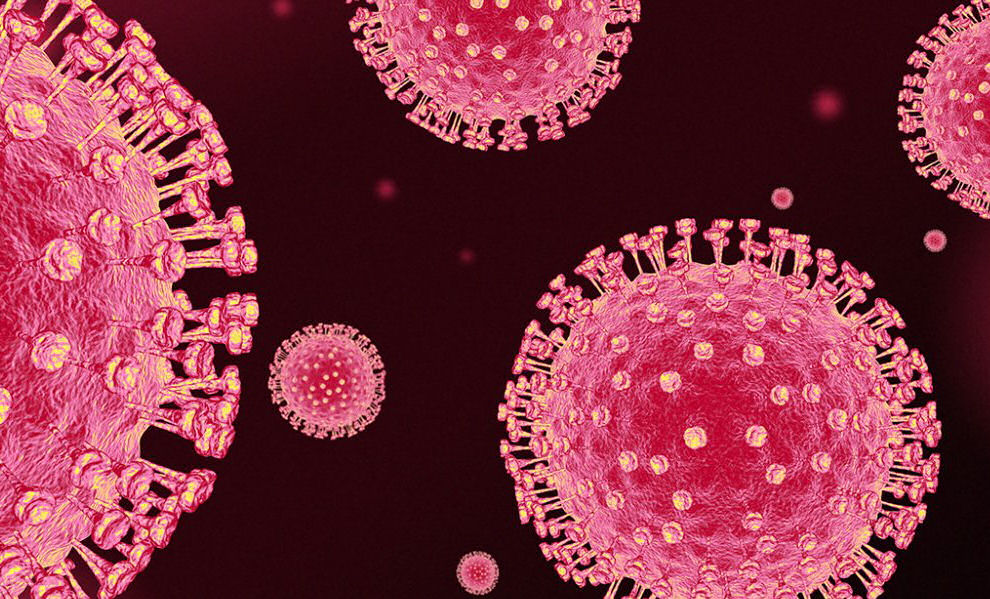 Virus Koronaios 270120a