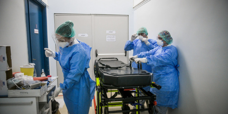 Virus Nosileftes 090820a