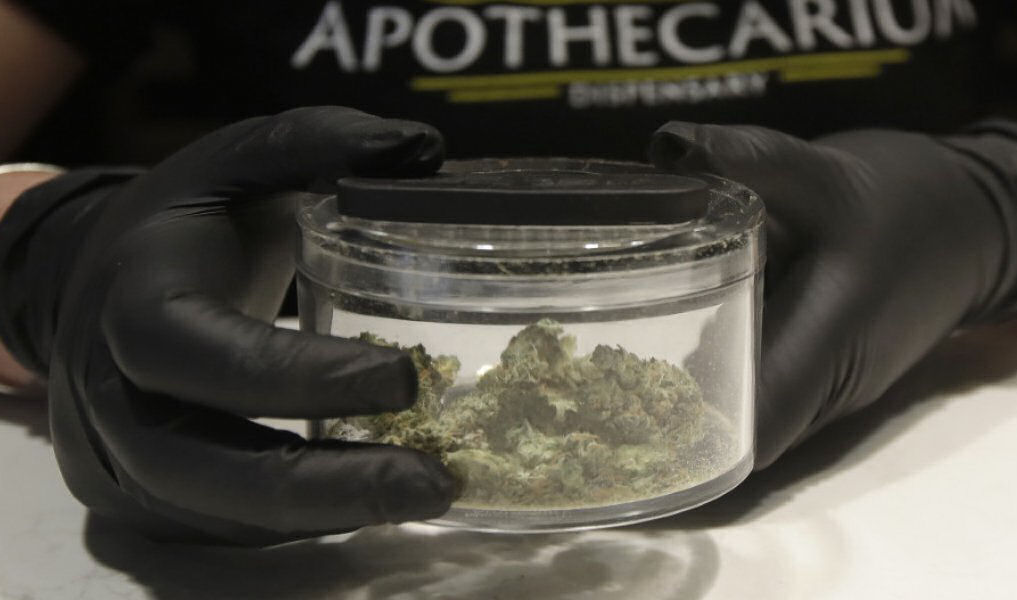 Xasisia Kanabi 130520