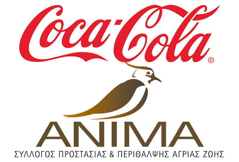 Coca cola Anima Logos 030923S