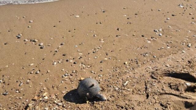 Narki Thalassis Faliraki 200125