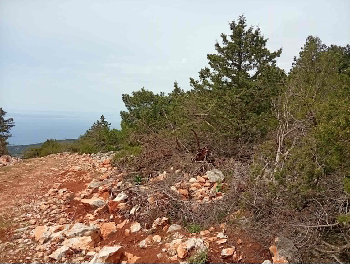 Akramitis Paranomi Dianiksi Dromou 130526a