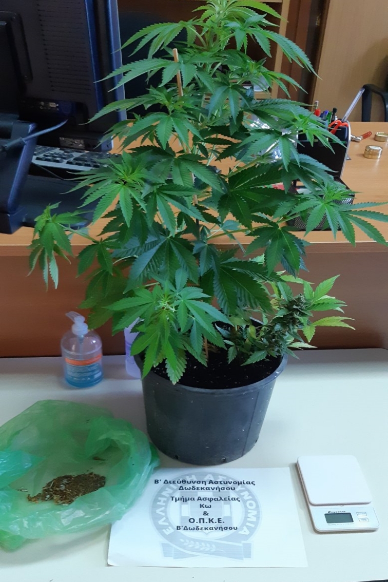 Narkotika Xapia Kos 130720