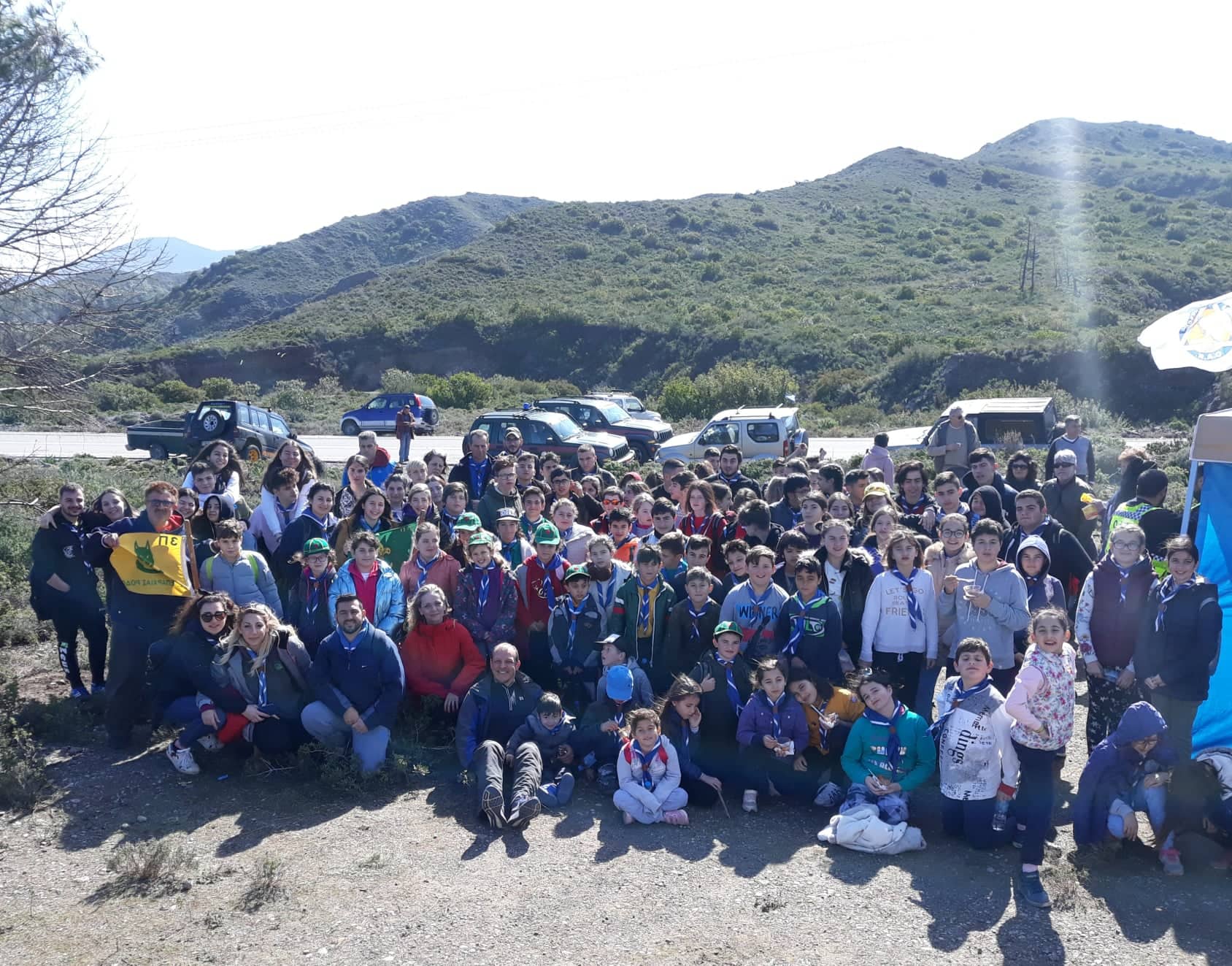 Dendrofytefsi 110219a