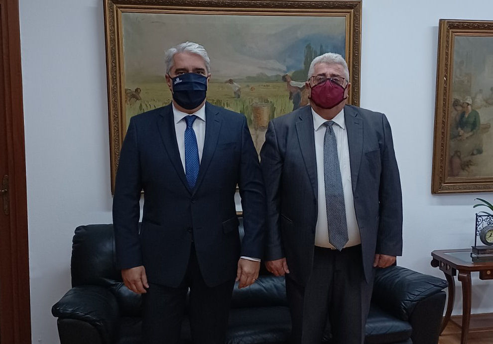 Zannetidis Kedikoglou 211021