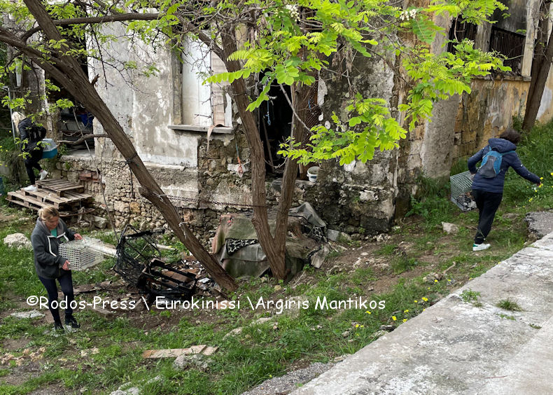 Fotia 6o Dimotiko Sxoleio 310326