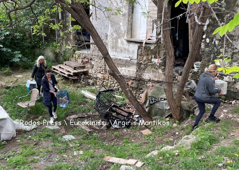 Fotia 6o Dimotiko Sxoleio 310326