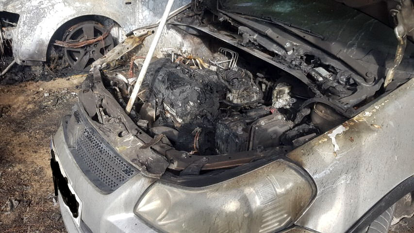 Fotia Auto Rodini 081119c