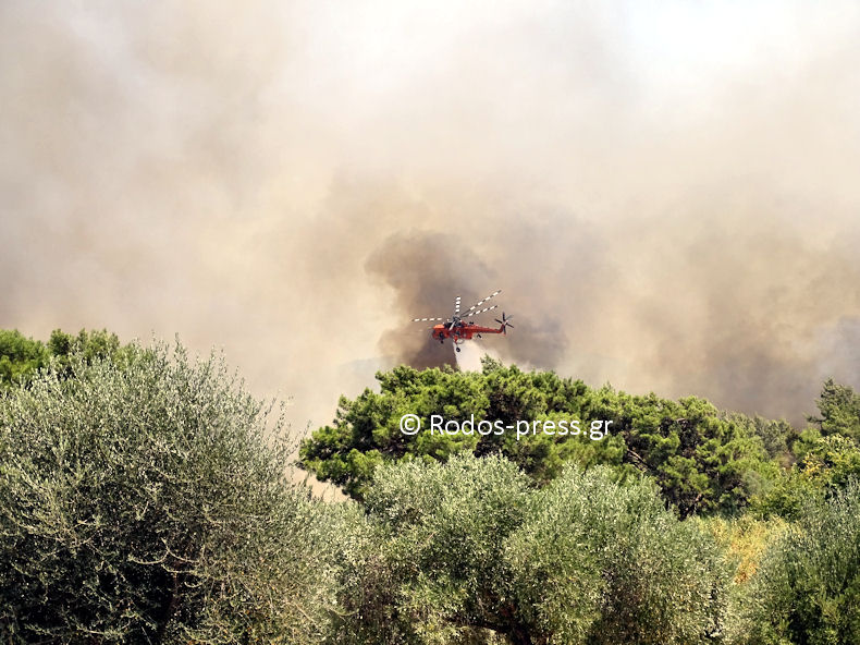 Fotia Soroni 010821